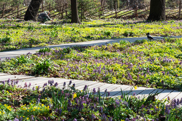 Similar image 21887036