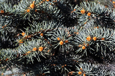 Similar image 21887038