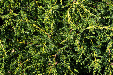 Similar image 21887040