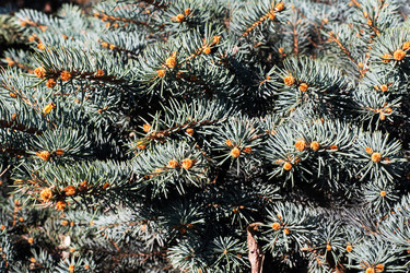 Similar image 21887041