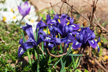 Similar image 21887043