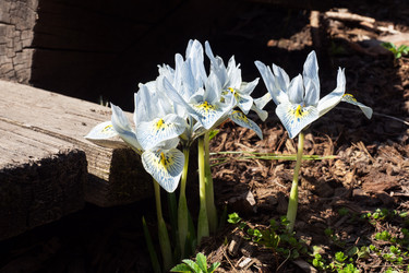 Similar image 21887044