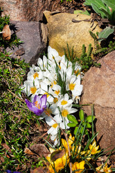 Similar image 21887046