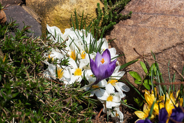 Similar image 21887047