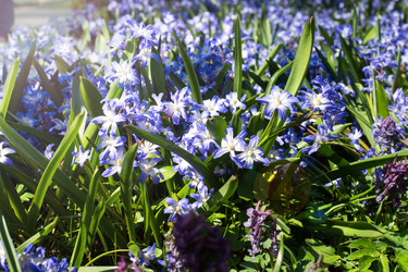 Similar image 21887053