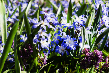 Similar image 21887055