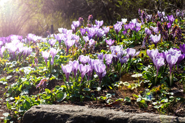 Similar image 21887057