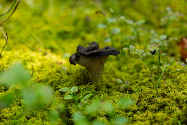 Similar image 21886737