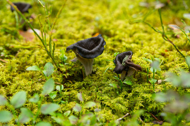 Similar image 21886738