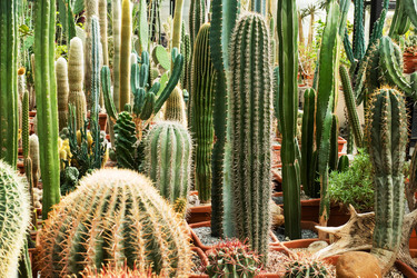 Similar image 21887234