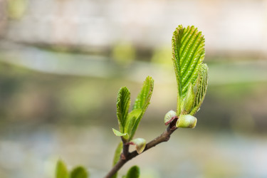 Similar image 21887248