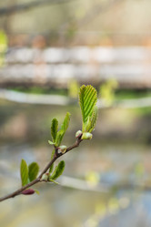 Similar image 21887249