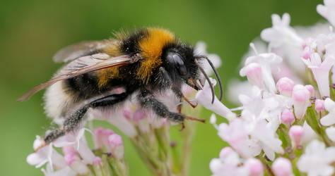 Similar image 21890685