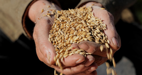 Similar image 21890701