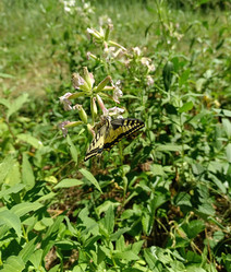 Similar image 21889010