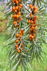 Similar image 21886759