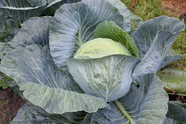 Similar image 21886760