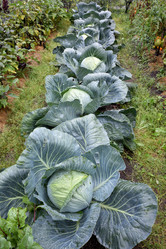 Similar image 21886762