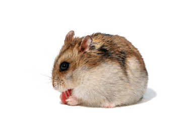 Similar image 21889011