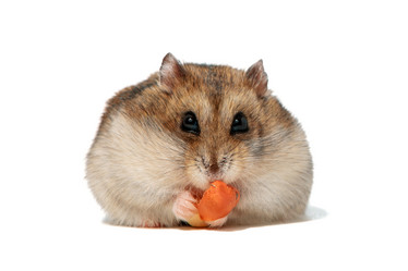 Similar image 21889012