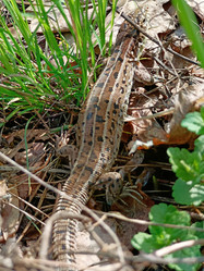 Similar image 21887403