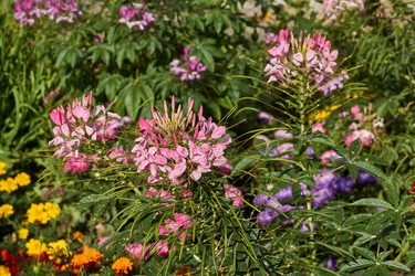 Similar image 21887406