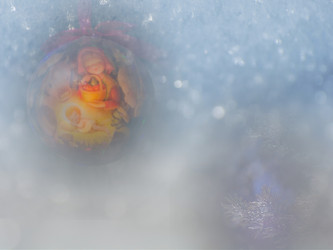 Similar image 21890734