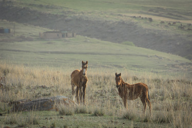 Similar image 21890745