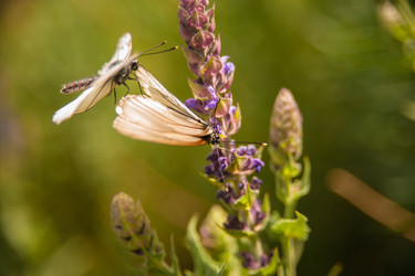 Similar image 21890750