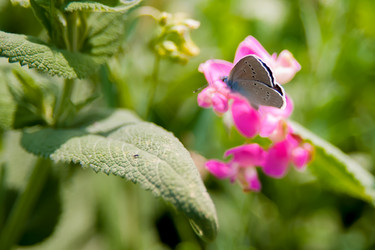 Similar image 21890752