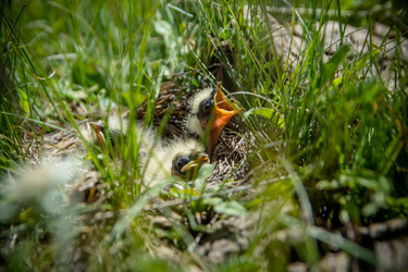 Similar image 21890759