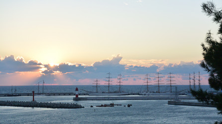 Similar image 21887676