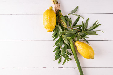 Similar image 21889013