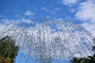 Similar image 21889491