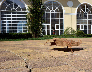 Similar image 21889504