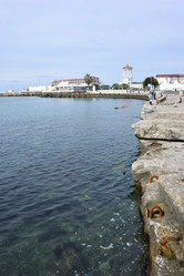 Similar image 21889509