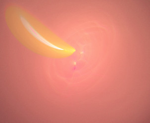 Similar image 21889518