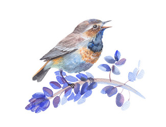 Similar image 21889519