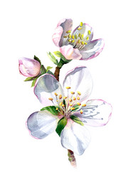 Similar image 21889520