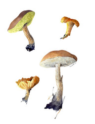 Similar image 21889521