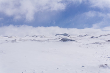 Similar image 21890775