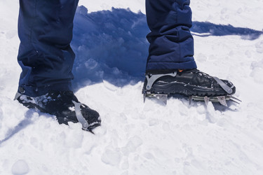 Similar image 21890909