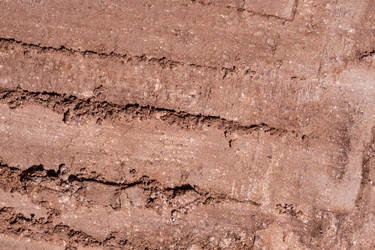 Similar image 21889039