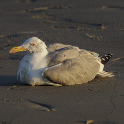 Similar image 21892409