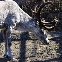 Similar image 21892285