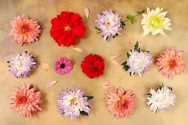 Similar image 21889047