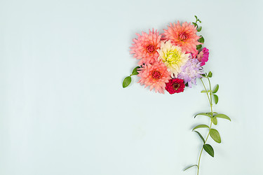 Similar image 21889048