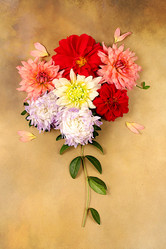 Similar image 21889053