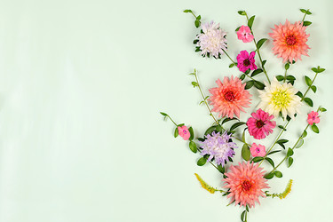 Similar image 21889055