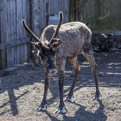 Similar image 21892286